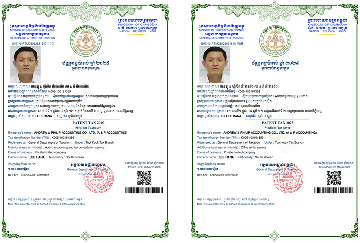 A&P ACCOUNTING BUSINESS PATENTS