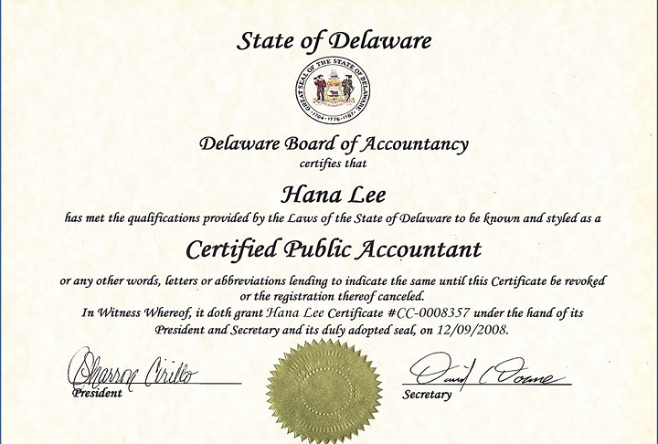 DIRECTOR’S CPA LICENSE FROM U.S.A. (Delaware)